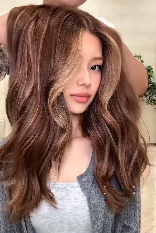 Highlight Wig 100% Human Hair 13x4 Lace Front Wig for Women