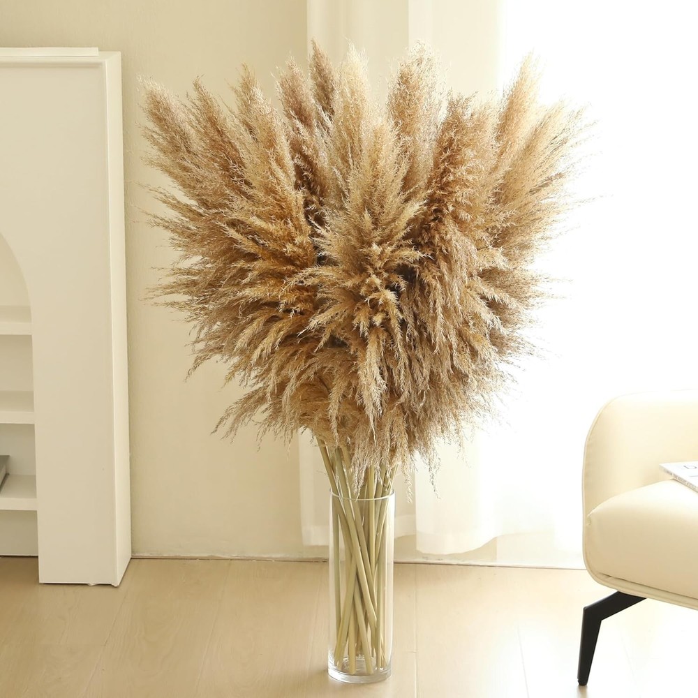 Versatile Pampas Grass Bundle – 46-Inch Natural Stems for Stunning Displays