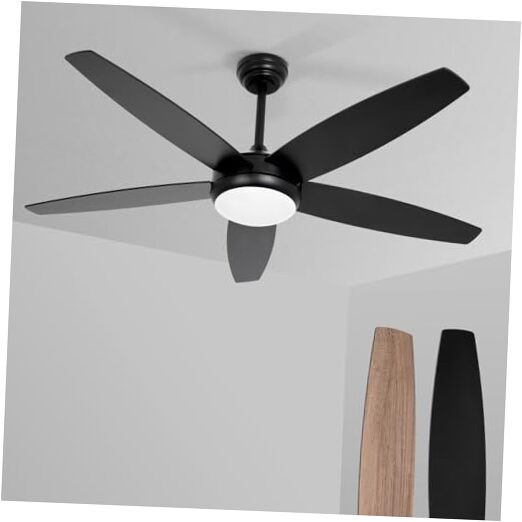 52-Inch Black and Wood Ceiling Fan with Light Kit and 5 Dual Blades  