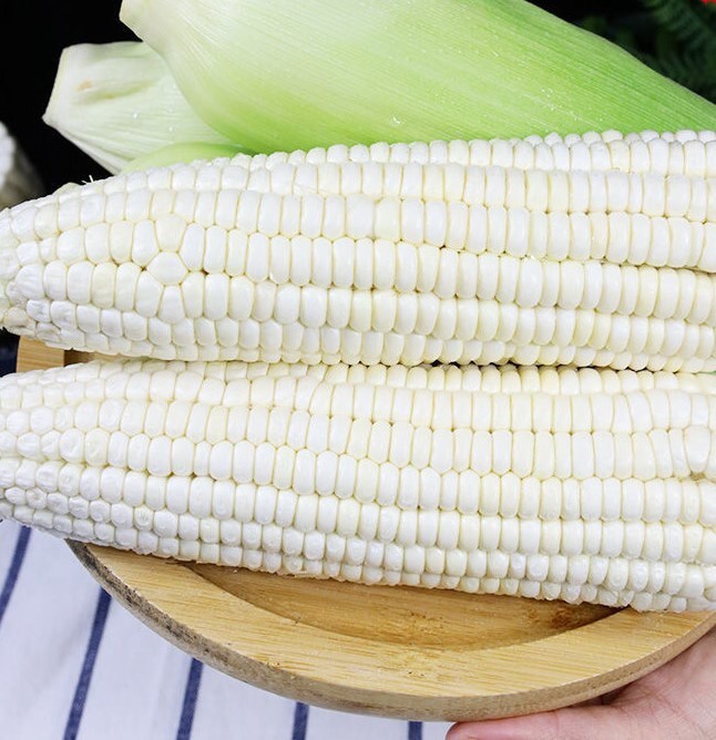 50pcs Heirloom Sweet White Corn Seeds - Non-GMO Open-Pollinated