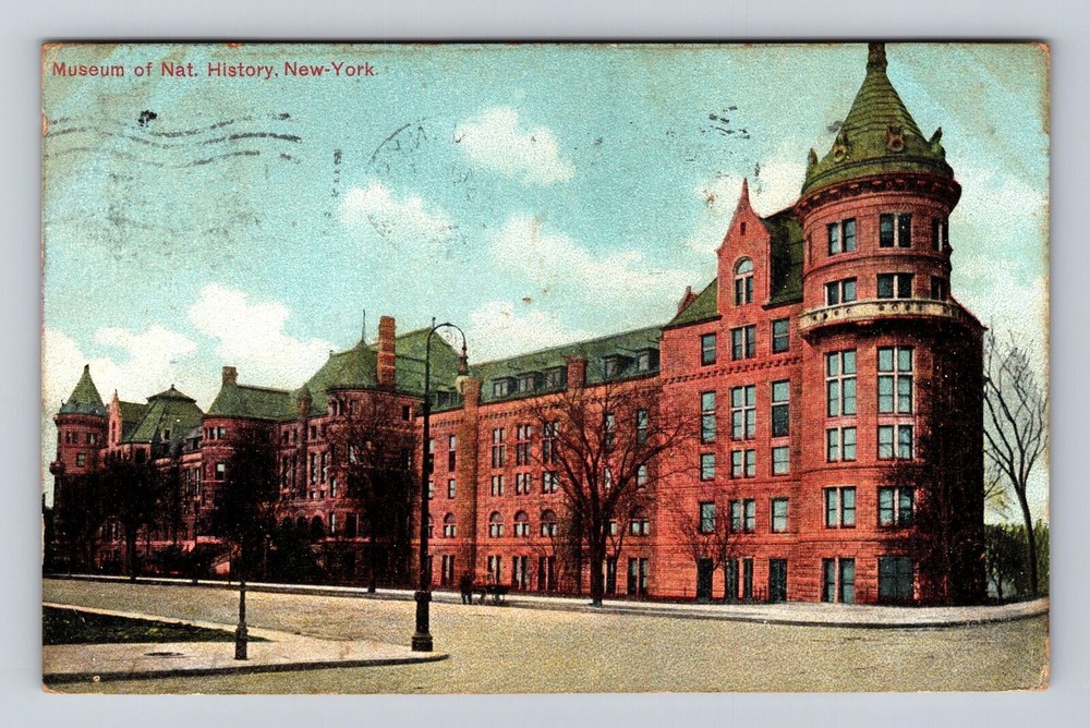 New York City NY, Museum of Natural History Vintage c1908 Souvenir Postcard