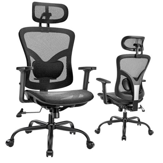 Ergonomic Mesh Office Chair: Mesh Computer Desk Chair with Adjustable Lumbar