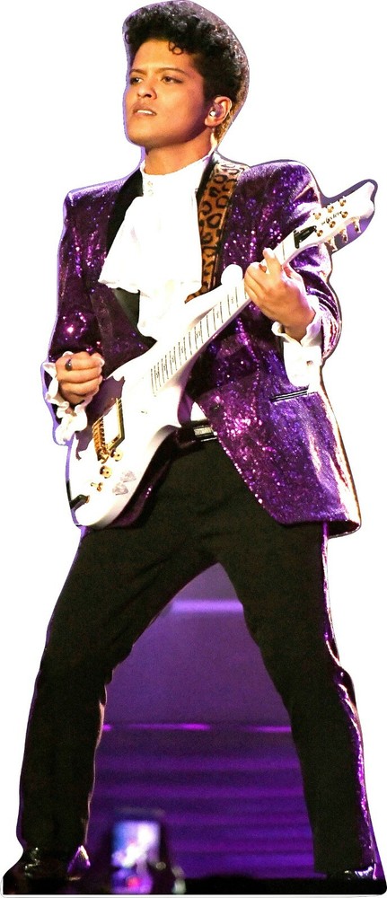 Bruno Mars - Prince Purple Outfit 65