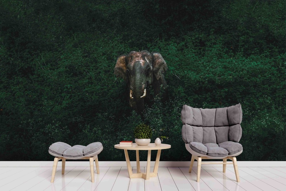 3D Forest Elephant Close-up Wall Murals Wallpaper Murals Wall Sticker