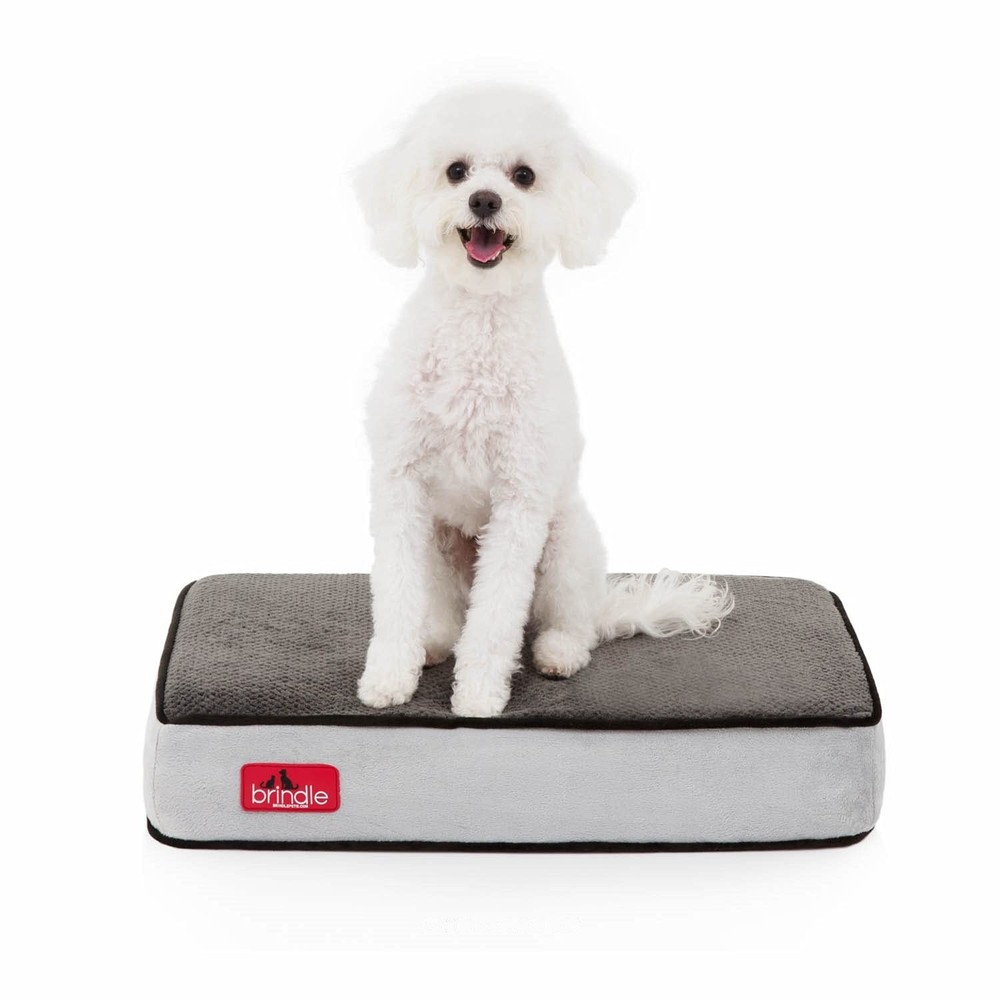 Waterproof Memory Foam Orthopedic Pet Bed with Removable Washable Cover - 4 Inch Thick