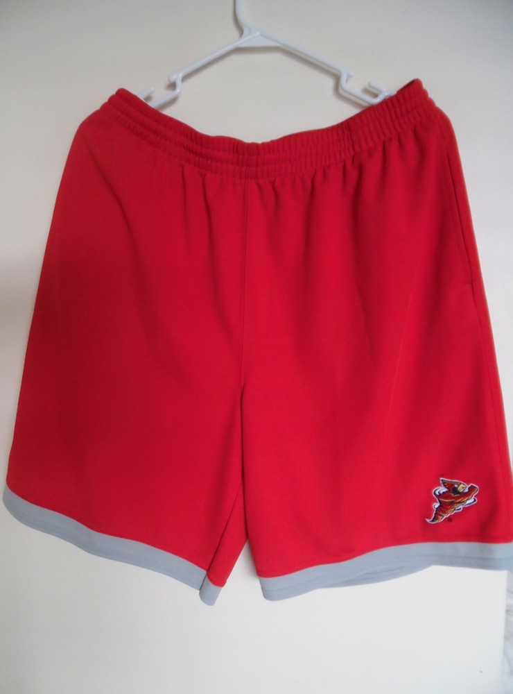 Iowa State Cyclones Dry Fit Sorts Size L