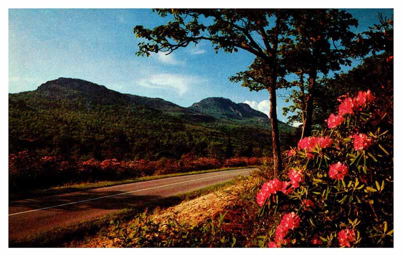 Postcard ROAD SCENE State Of Virginia VA 11/8 AU3360