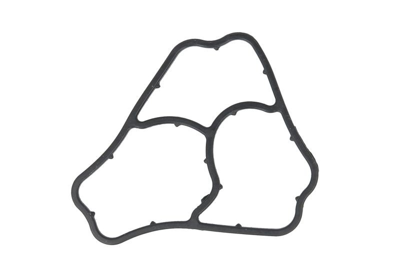 Oil Filter Base Gasket