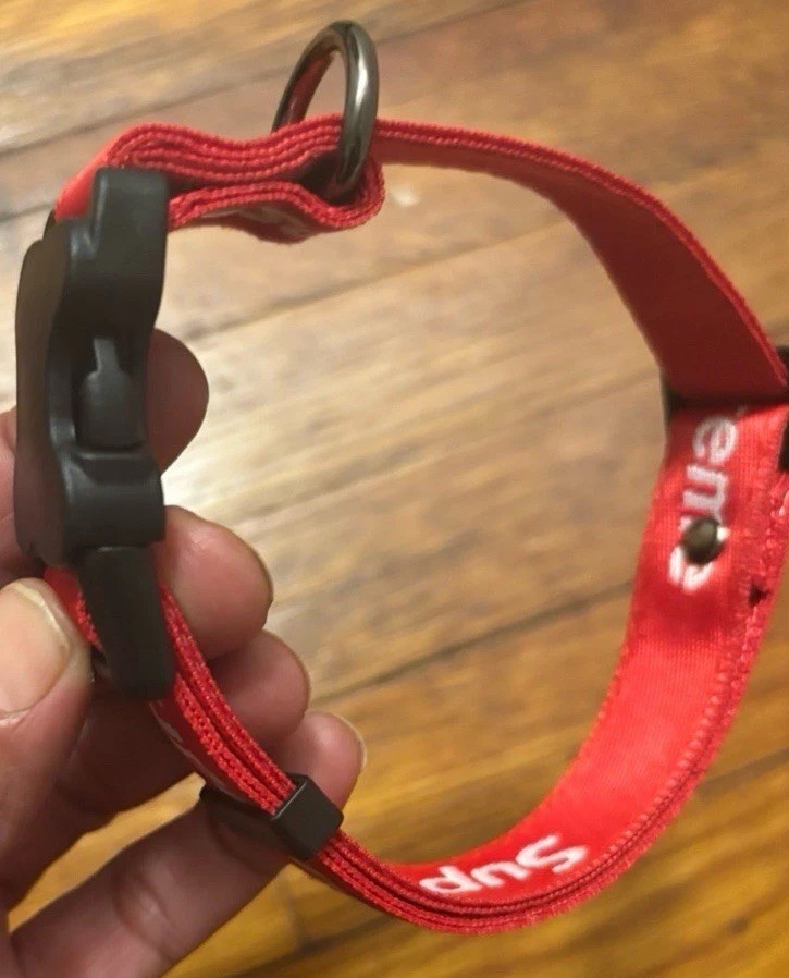 Dog Collar Comfortable And Adjustable