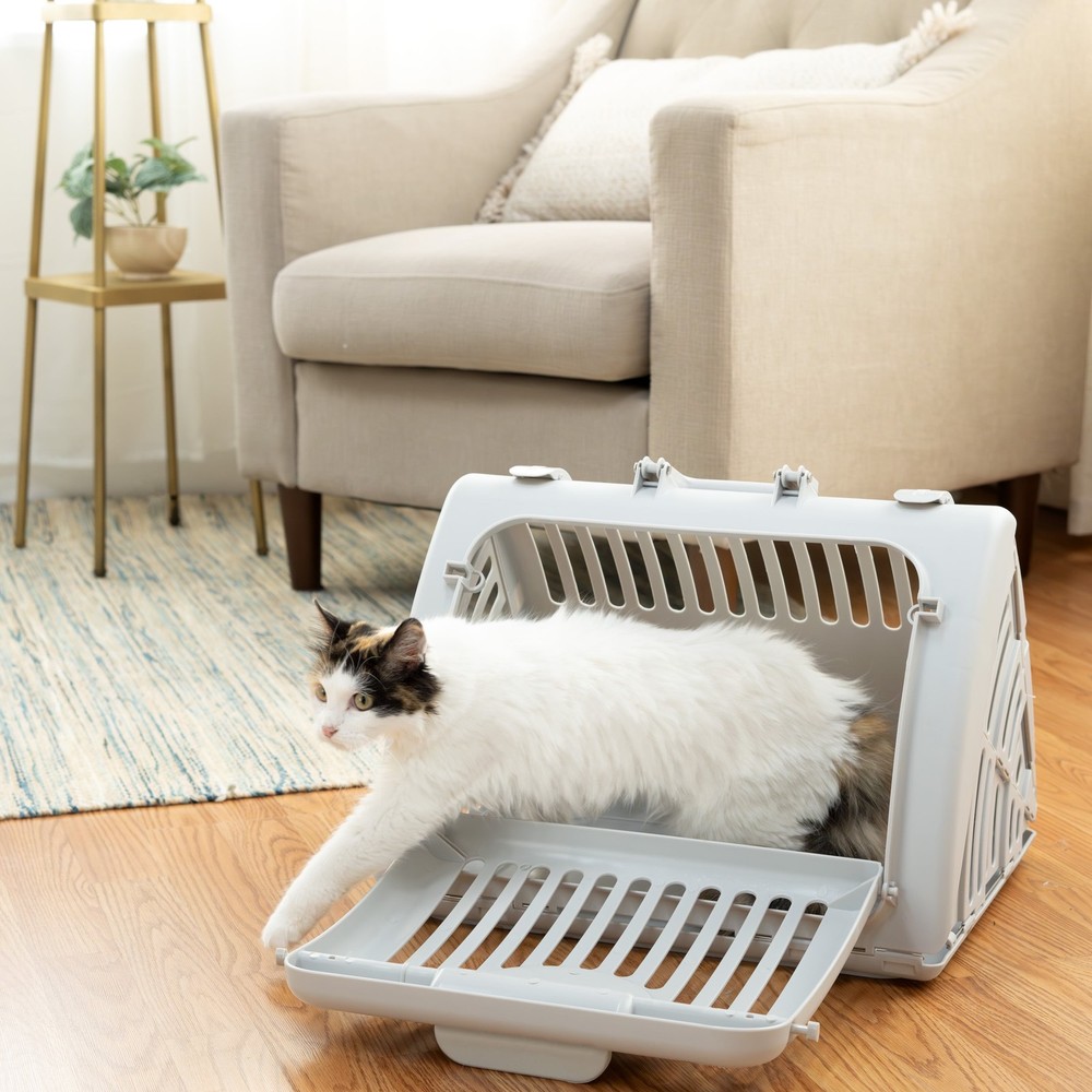 Vibrant Life Foldable Gray Plastic Cat Carrier for Travel One Size