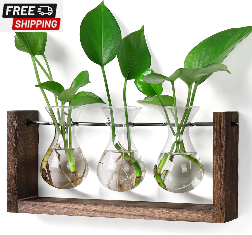Plants Propagation Stations with Wooden Stand, Wall Hanging Glass Planter Tablet