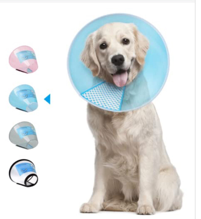 X2 Blue Pet Protective Collar Dog Cat Anti-lick Cone Wound Healing Recovery