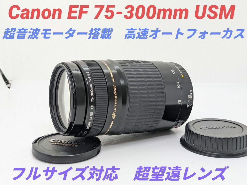 Limited May 31 Sale on Canon EF 75-300mm USM Super Telephoto Lens