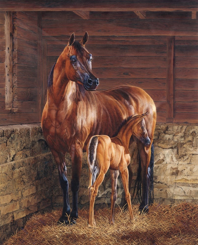 35-inch Fabric Panel by David Textiles - Horse Stable Farm Scene with God Created Design