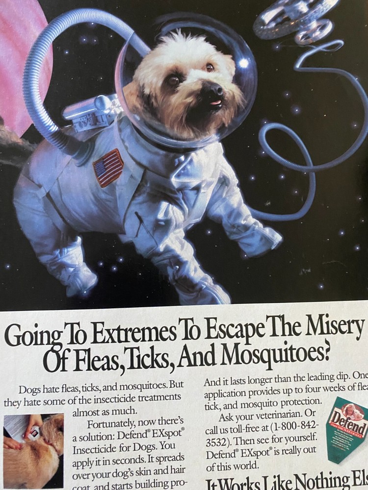 Defend Insecticide for Dogs,  Full Page Vintage Print Ad