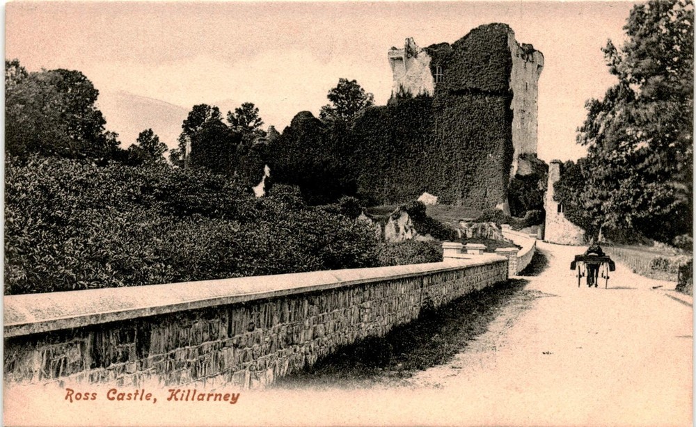 Ross Castle, Killarney, Lawrence, Publisher Dublin Postcard