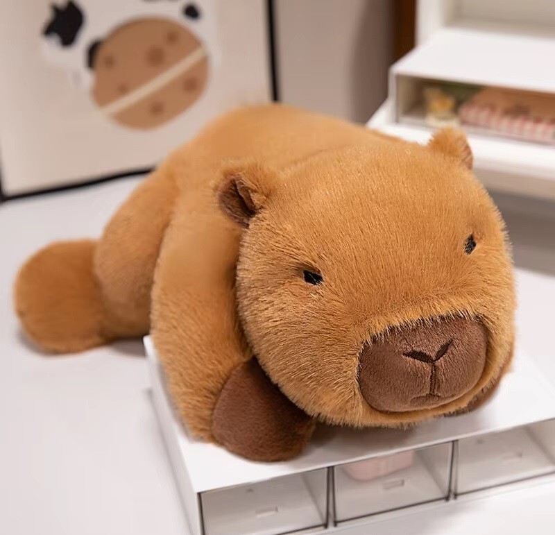 Capybara 12