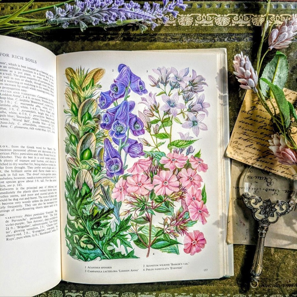 Vintage Plant Encyclopedia 1979 Botanical Illustrations of British Garden Flower