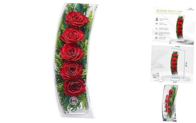 Premium Fresh Cut Preserved Flower Bouquet in a Sealed Glass Vase | Long