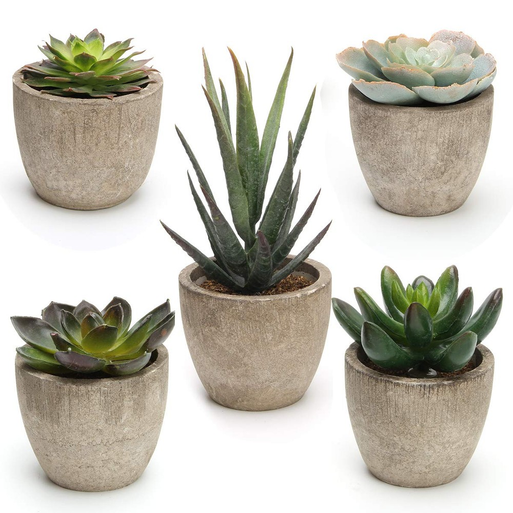 Artificial Potted Succulent Plants - Assorted Decorative Faux Succulents for Home Decor
