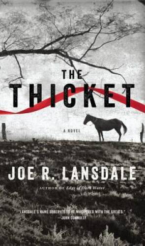 The Thicket - Hardcover By Lansdale, Joe R. - GOOD