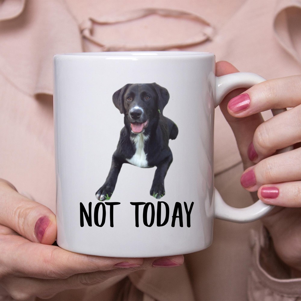 Funny Borador Choco Dog Mug Lazy Not Today Gift for Dog Moms Coffee Cup  