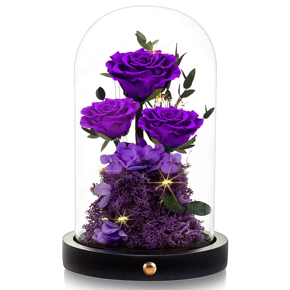 Valentine's Day Preserved Roses in Glass Dome Gift for Her