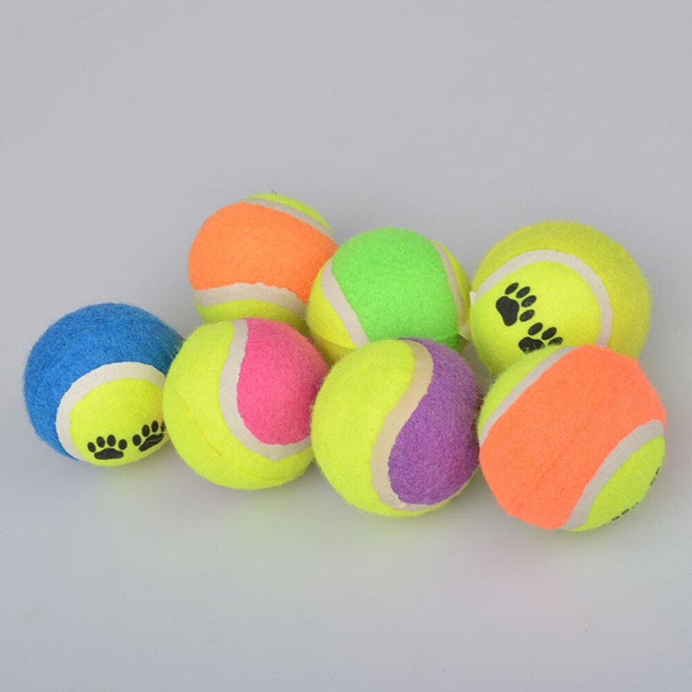 16 Pcs Dog Throwing Machine for Dogs Large Pet Entertainment Toy Professional