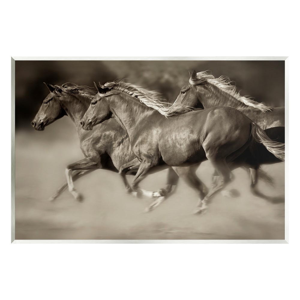 Stupell Galloping Horse Herd Trotting Wild Animal