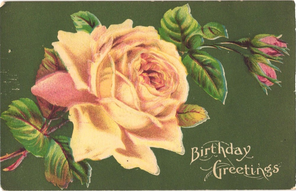 Birthday Greetings Pink Roses Greetings Vintage Postcard