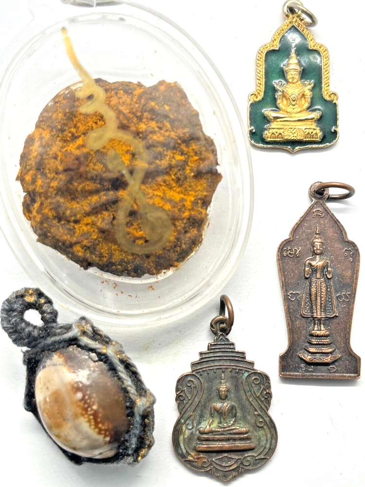 5pcs Thai Amulet Old COIN Shell Set Powerful TALISMAN Buddhism Protection LUCKY