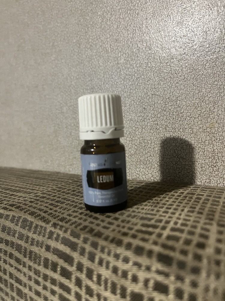 Young Living Essential Oils Ledum Essential Oil - 0.17 fl oz
