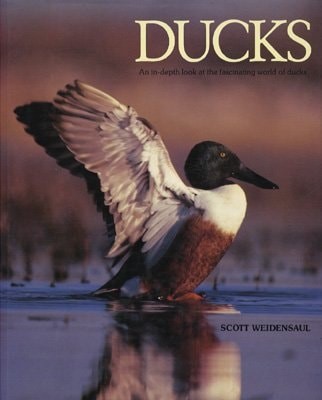 Ducks by Scott Weidensaul, Good Book