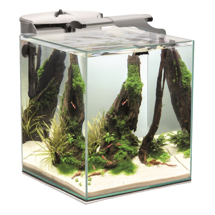 AQUAEL Shrimp Set Duo Glass White LED Nano Aquarium with Sunny Plant 5L