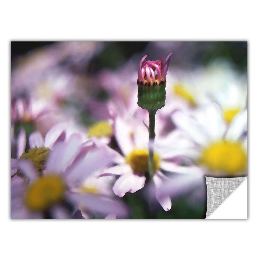 Dean Uhlinger New Arrival, Art Appeelz Removable Wall Art  Small