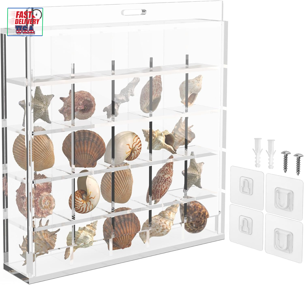 Acrylic Seashell Display Box, 25 Grids Clear Acrylic Mini Seashell Collection St