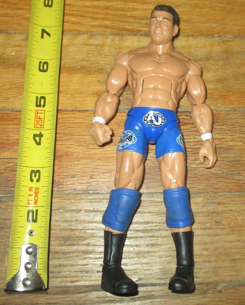 2011 Jakks NWA TNA Impact Deluxe AJ Styles Wrestling Figure WWE ROH Cross Line