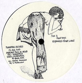 Scott Ferguson - Dump Days - Used Vinyl Record 12 - T16280A