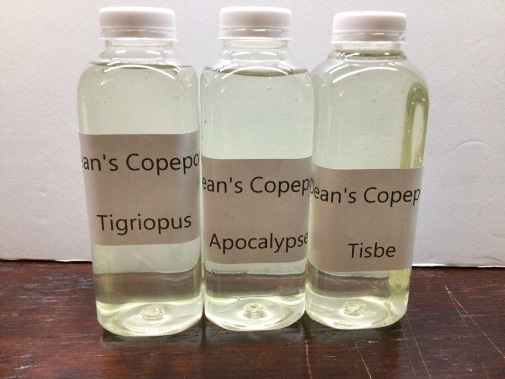 Dean's Copepods Live Tisbe Tigs Apocalypse Combo 3  16oz Free Shipping