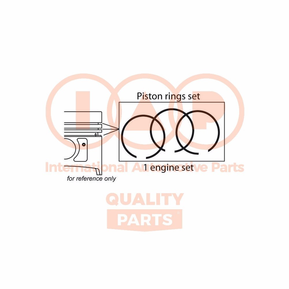Elastic bands kit 102-03041 IAP QUALITY PARTS for DAIHATSU Piaggio