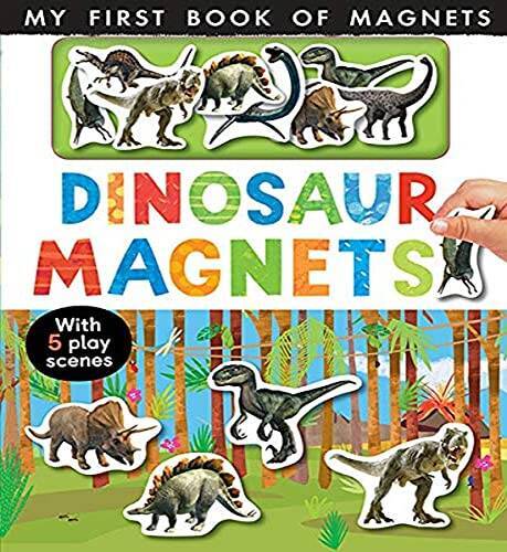 Dinosaur Magnets Hardcover My First Book of Magnets in Good Condition