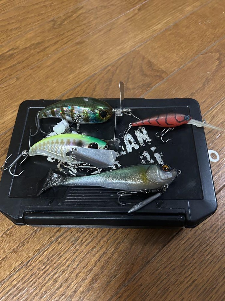 Fishing Lure Jackall Set