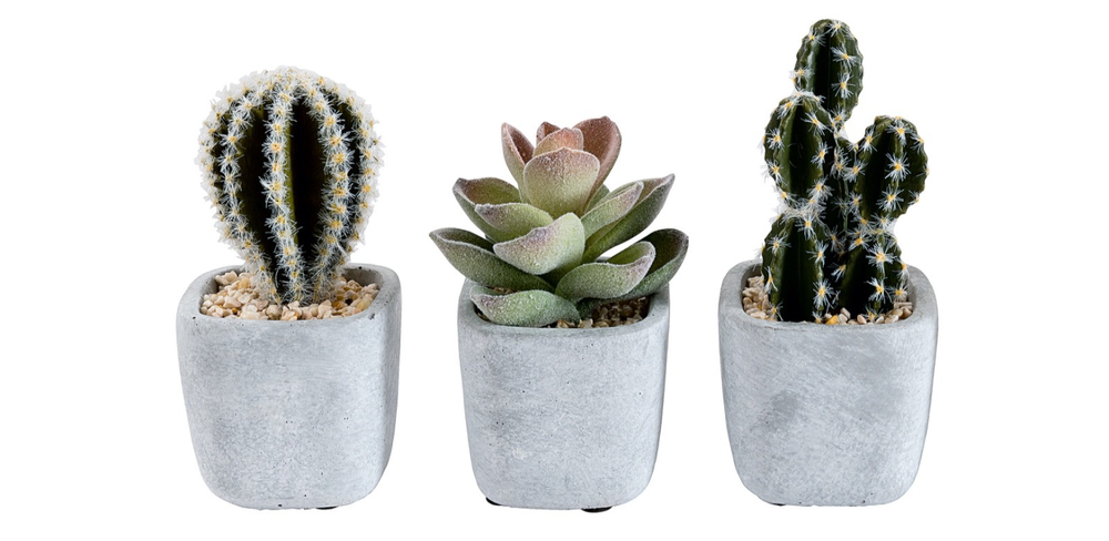 3 Different Artificial Cactus Plants Each in a Stone Ceramic Pot Child Safe