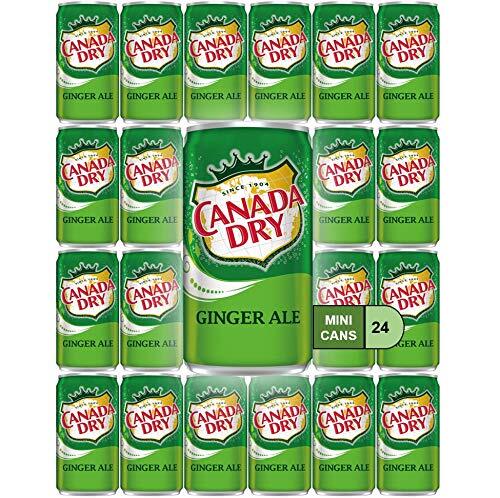 Canada Dry Ginger Ale Mini Cans 7.5 oz Bulk Pack Soft Drinks Snacks