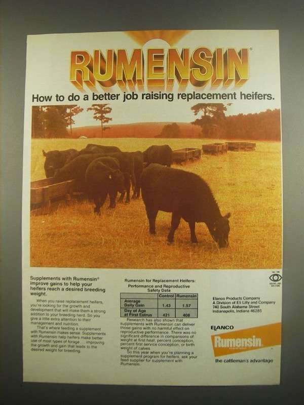 1984 Elanco Rumensin Ad - Do a Better Job