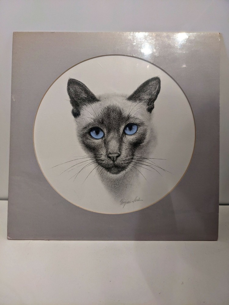 Virginia Miller Siamese Cat Art Print 10 Inch Matted Square