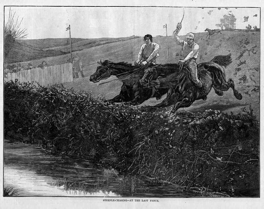HORSES, STEEPLE-CHASING, AT THE LAST FENCE, HORSES LEAP HEDGE, RACE, HORSE RIDER
