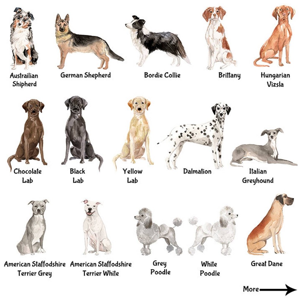 Dog Mom Mug Custom Dog Mug Personalized Gift For Dog Mom Pet Portrait Dog Lover