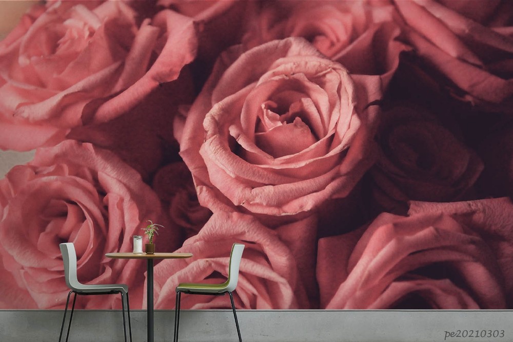 3D Pink Rose Plants Close-up Wall Murals Wallpaper Murals Wall Sticker