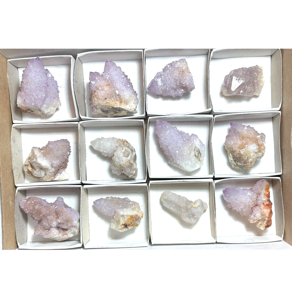 Amethyst Spirit Quartz Cactus Crystal Set of 12 Natural TRFlat68 Stones